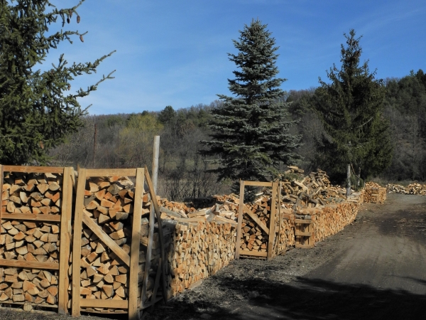 Stéphane Bumat entreprise de bois de chauffage spécialisé dans la vente