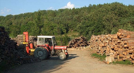 Elagage et abatage d'arbre près de Champsaur