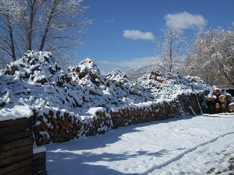 Dépot de bois de chauffage pour la vente et la livraison en hiver près de Champsaur