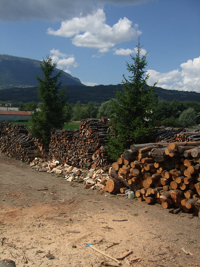 Elagage d'arbre : dépot à la plaine de Lachaup près de Gap